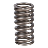 Valve Spring