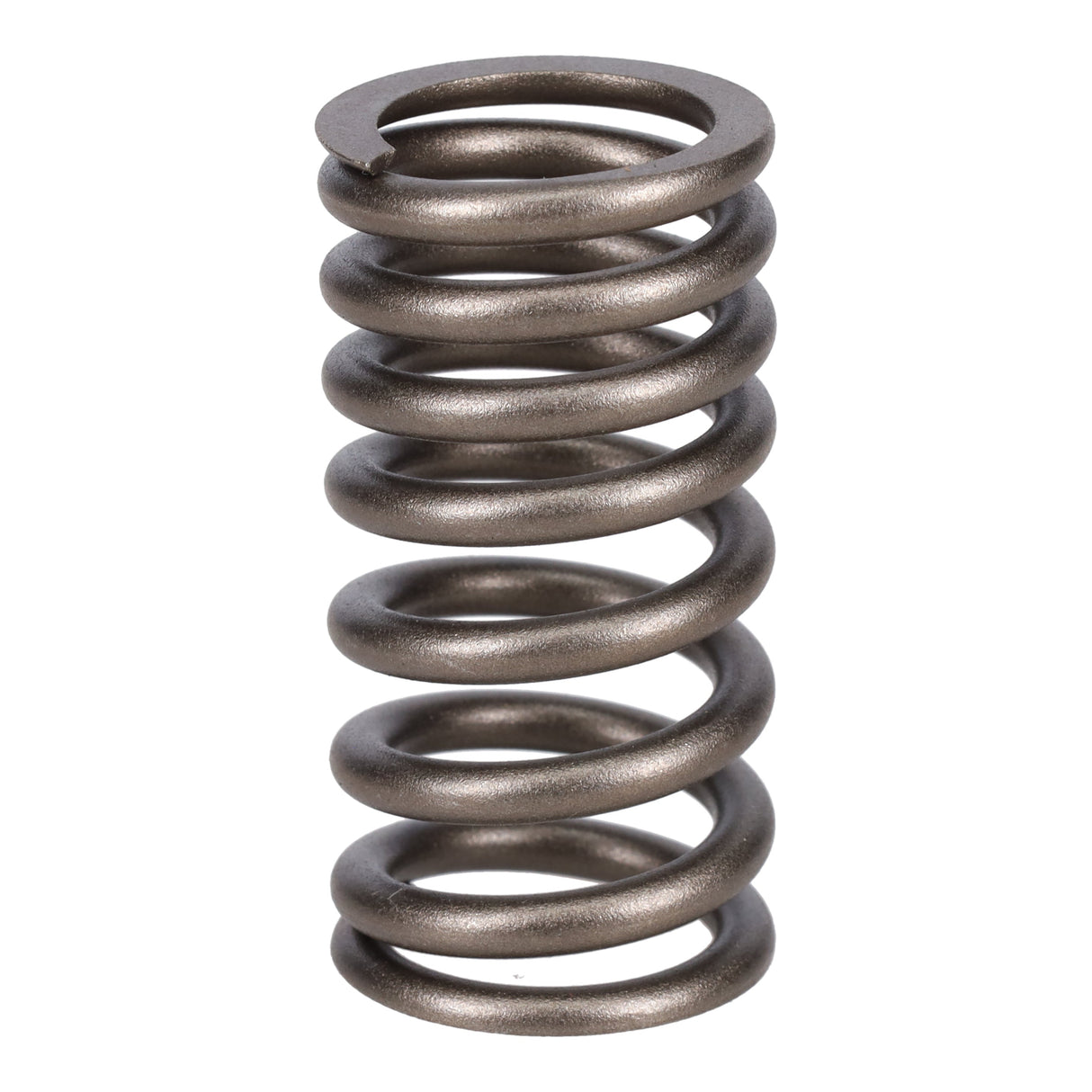 Valve Spring