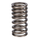 Valve Spring