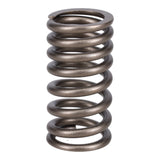 Valve Spring