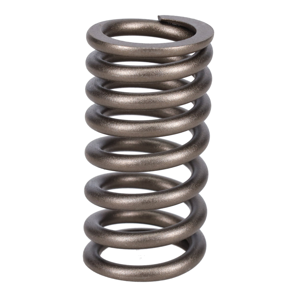 Valve Spring