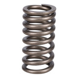 Valve Spring