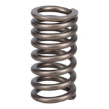 Valve Spring