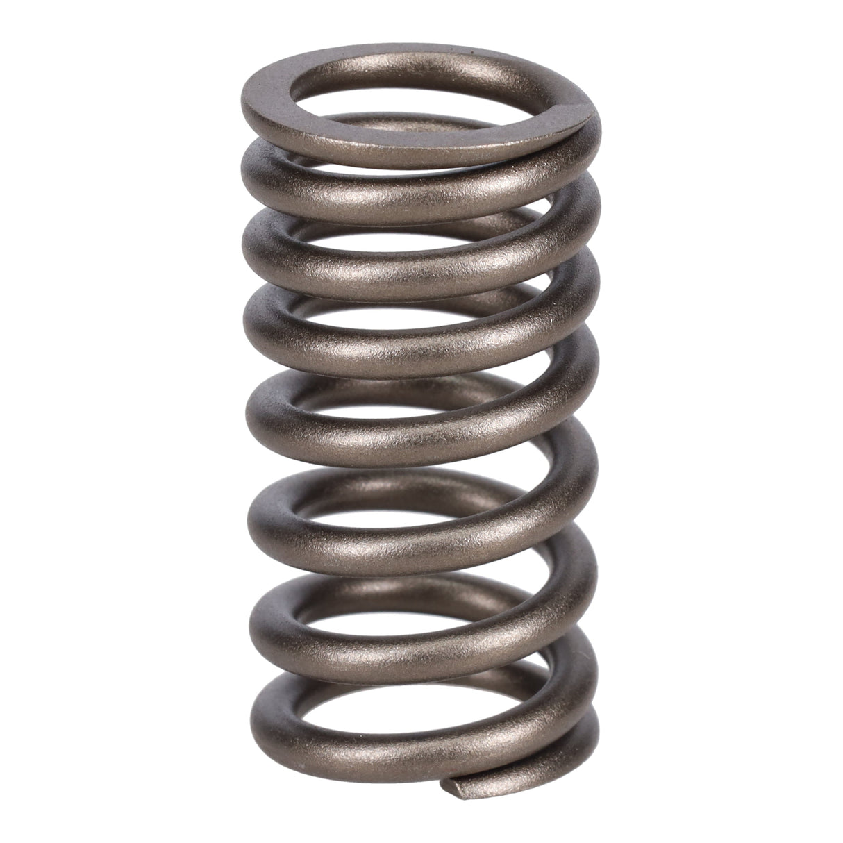 Valve Spring