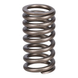 Valve Spring