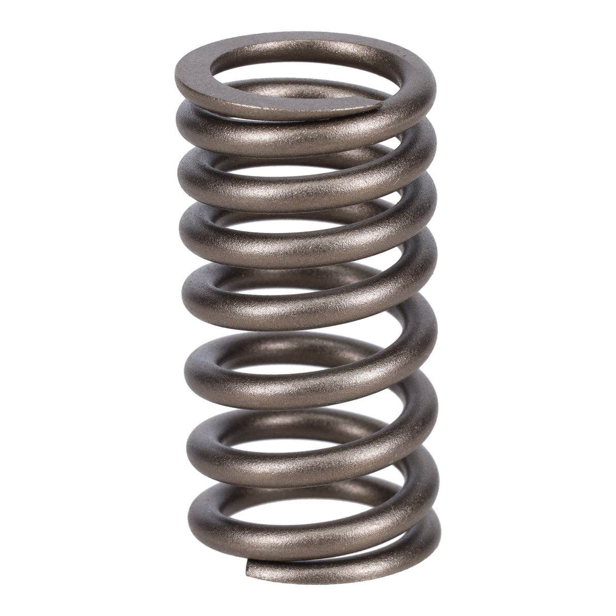 Valve Spring
