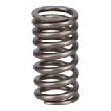 Valve Spring