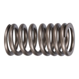 Valve Spring