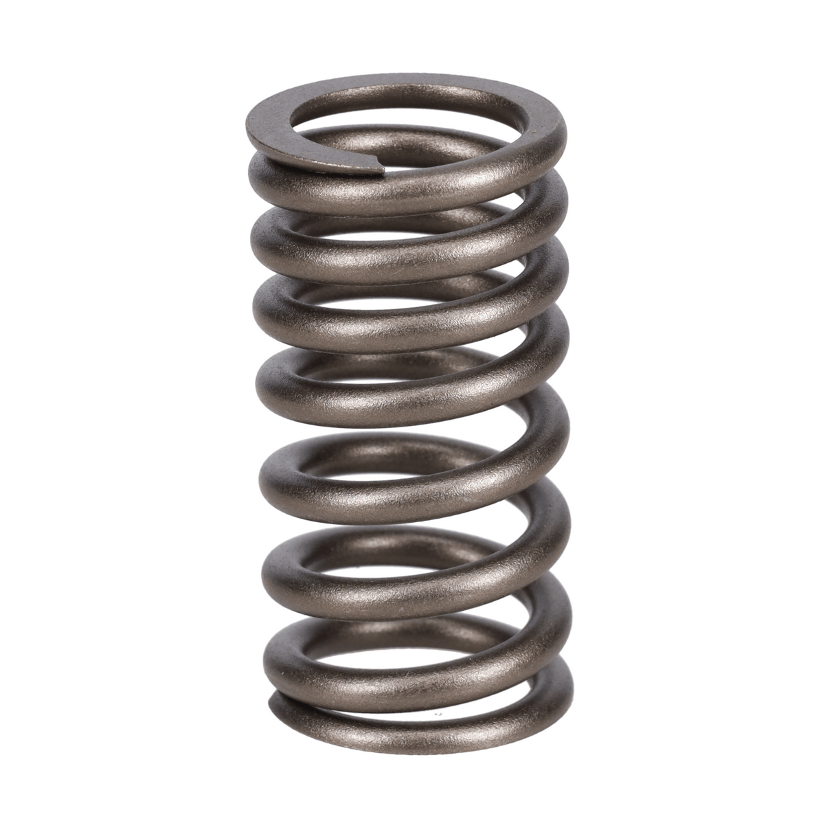 Valve Spring