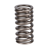 Valve Spring