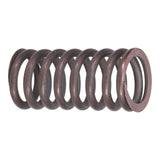 Valve Spring
