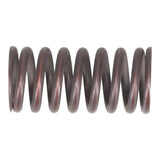 Valve Spring