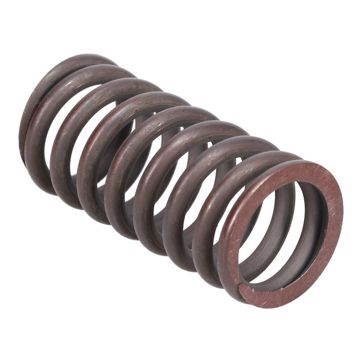 Valve Spring