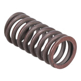 Valve Spring