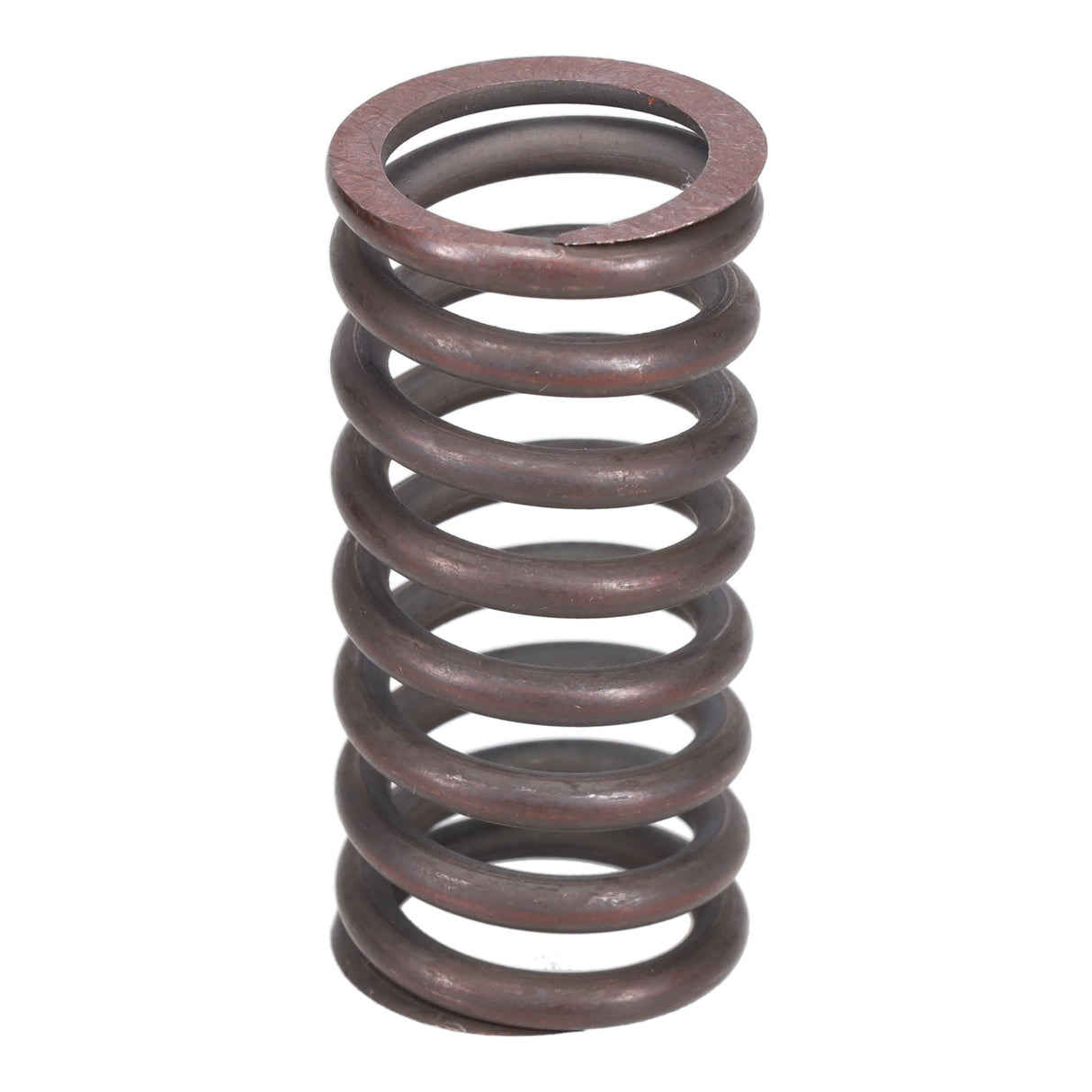 Valve Spring