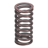 Valve Spring