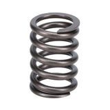 Valve Spring