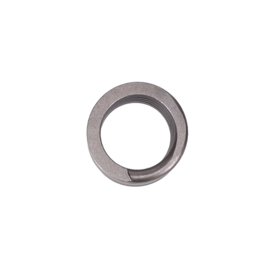 Valve Spring
