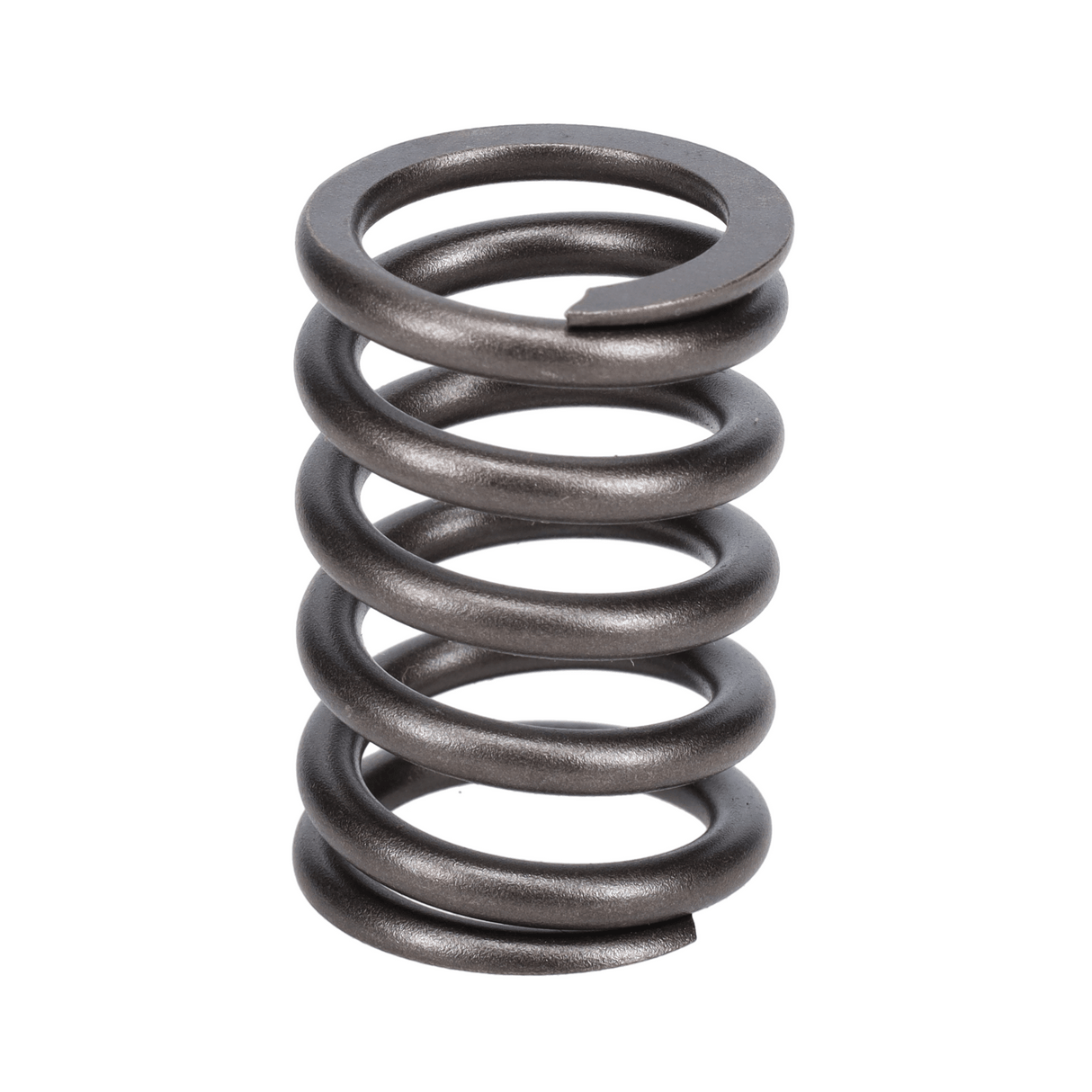 Valve Spring