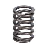 Valve Spring
