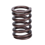 Valve Spring
