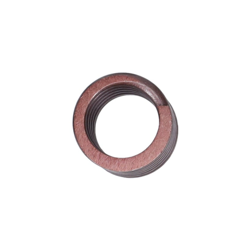 Valve Spring