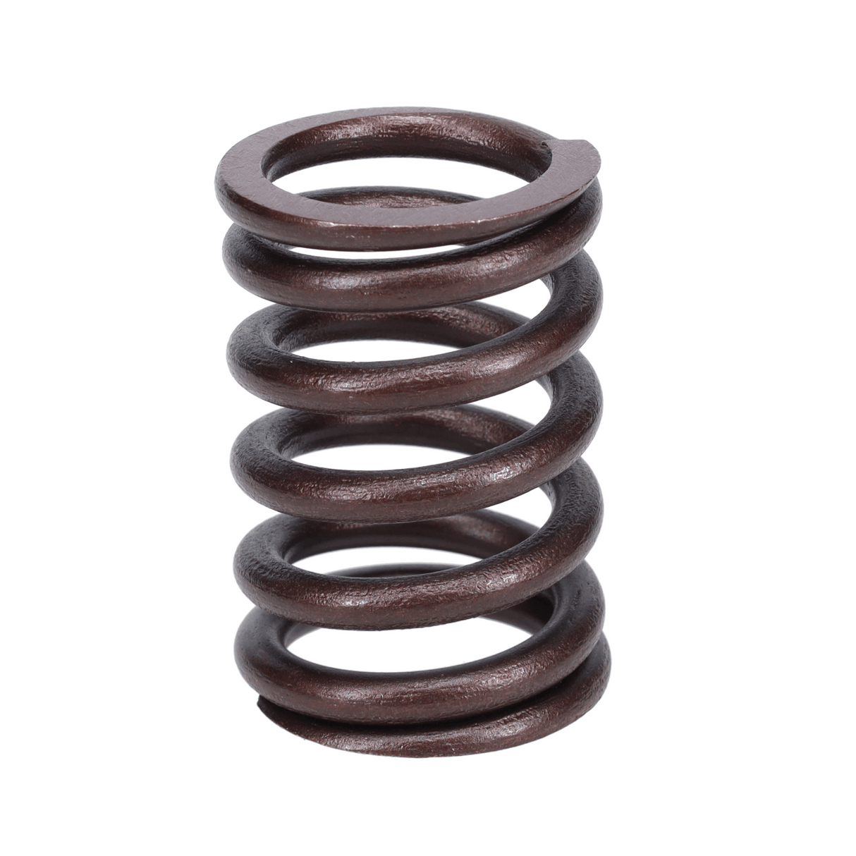 Valve Spring