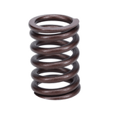 Valve Spring