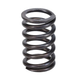 Valve Spring