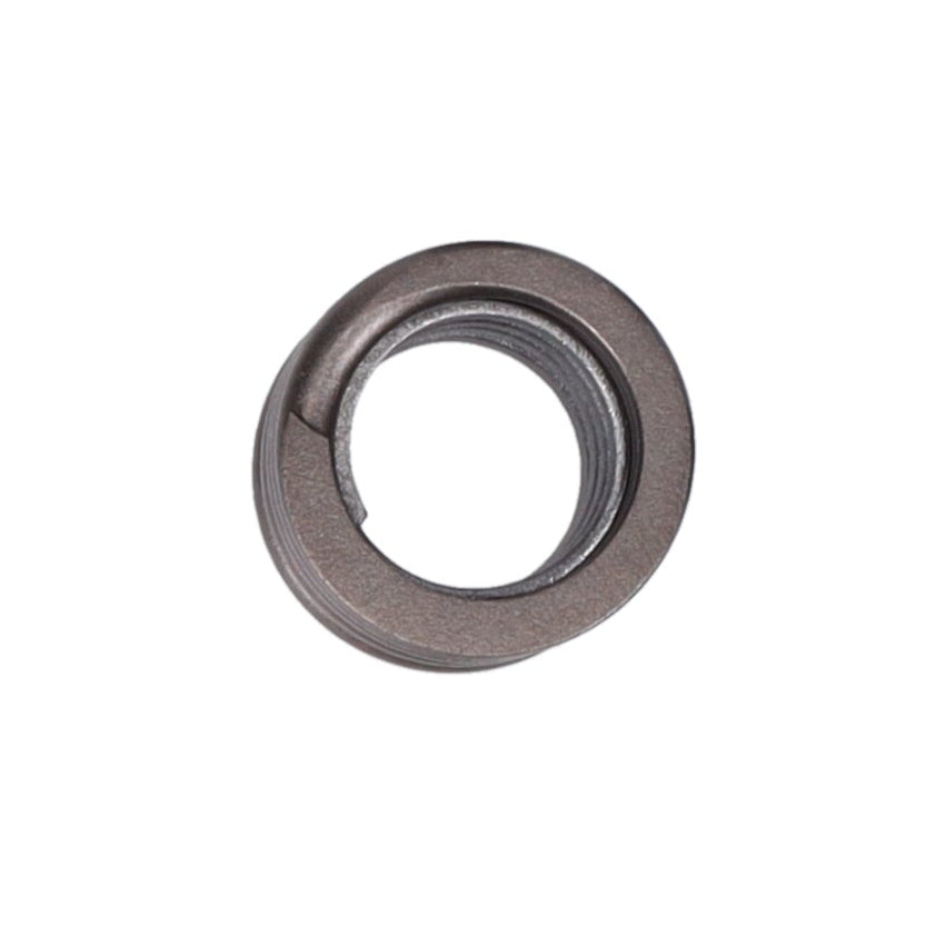 Valve Spring