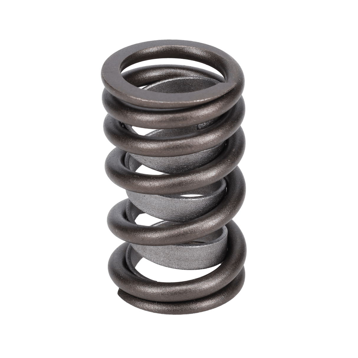 Valve Spring