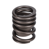 Valve Spring