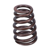Valve Spring