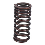 Valve Spring