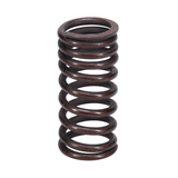 Valve Spring