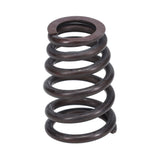Valve Spring