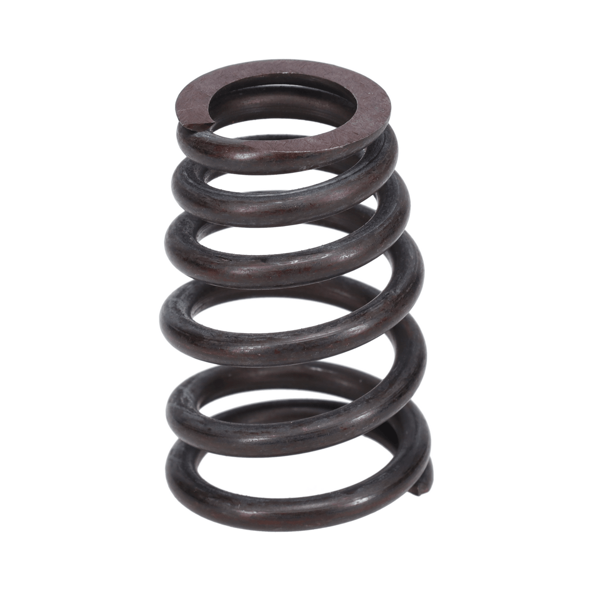 Valve Spring