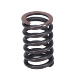 Valve Spring