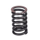 Valve Spring