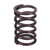 Valve Spring
