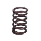 Valve Spring