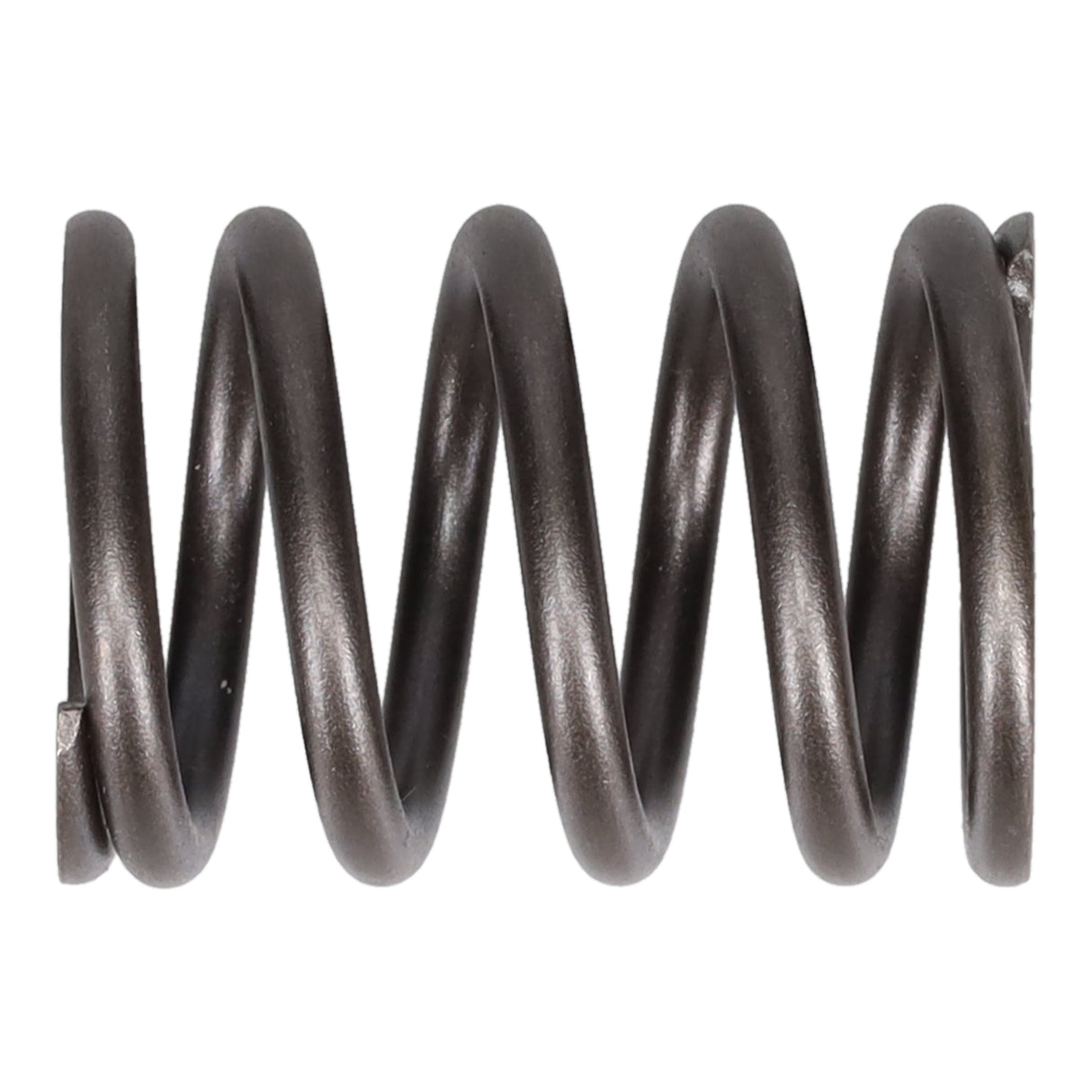 Valve Spring