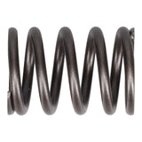 Valve Spring