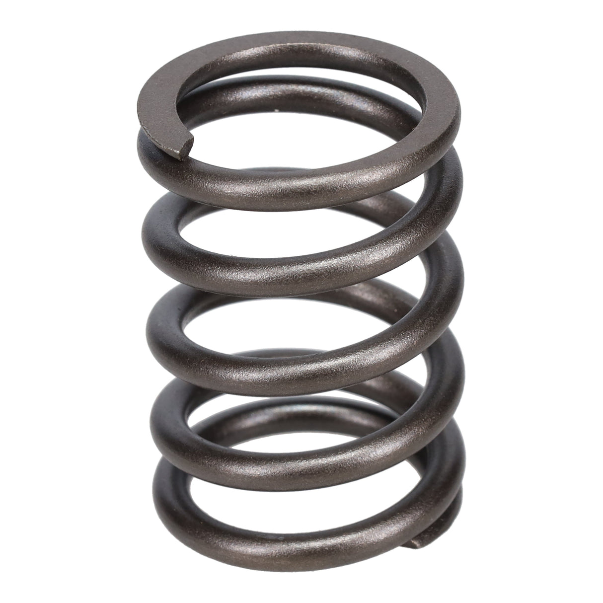 Valve Spring