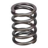 Valve Spring
