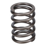 Valve Spring