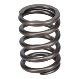 Valve Spring