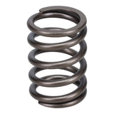 Valve Spring