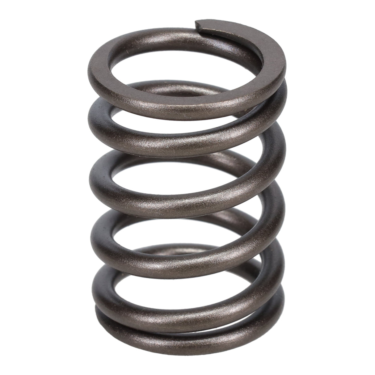 Valve Spring