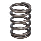 Valve Spring